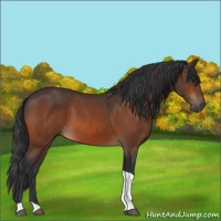 Horse Color:Bay Tobiano Rabicano 