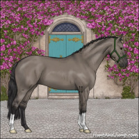 Horse Color:Smoky Grullo