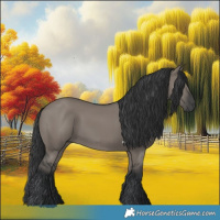 Horse Color:Grullo 