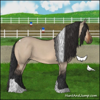 Horse Color:Bay Roan Dun Tobiano 