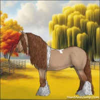 Horse Color:Red Dun Tobiano 