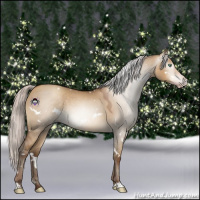 Horse Color:Gray White Spotted Silver Sable Champagne Dun 