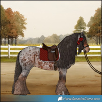 Horse Color:Liver Chestnut  and Liver Red Roan 