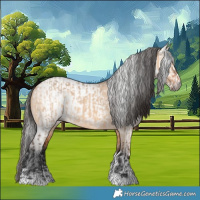 Horse Color:Bay Dun  and Gray Bay Dun 