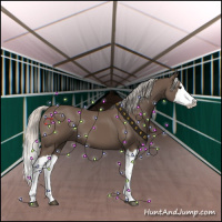 Horse Color:Silver Black Splash 