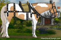 Horse Color:Silver Buckskin Dun Tobiano 