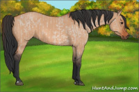 Horse Color:Brown Roan Dun  and Bay Roan Dun 