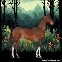 Horse Color:Liver Chestnut and Brown
