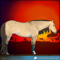 Horse Color:Buckskin Dun  and Buckskin Dun 
