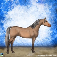 Horse Color:Bay Dun  and Silver Bay Dun 