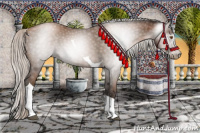 Horse Color:Gray Silver Black Pearl Tobiano 