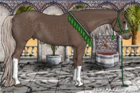 Horse Color:Silver Black 