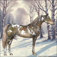 Horse Color:White Spotted Chocolate Palomino Mushroom Sabino 