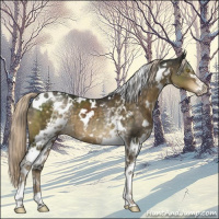 Horse Color:White Spotted Chocolate Palomino Mushroom 
