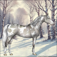 Horse Color:Platinum White Spotted Liver Red Dun Mushroom Sabino 