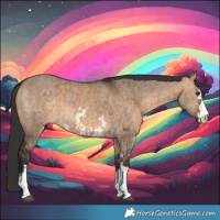 Horse Color:Bay Dun  and Bay Dun 