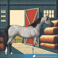 Horse Color:Grullo Roan Tobiano 