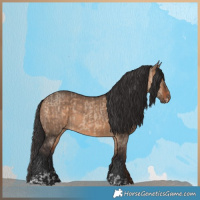 Horse Color:Bay Dun  and Bay Dun 