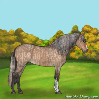 Horse Color:Brown Roan Dun  and Silver Brown Roan Dun 