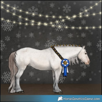 Horse Color:Brown Dun Appaloosa 