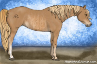 Horse Color:Chestnut  and Chestnut Rabicano 