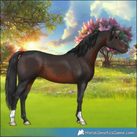 Horse Color:Brown 