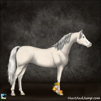 Horse Color:Cremello Splash  and Cremello Splash 