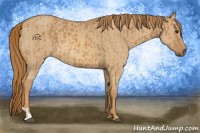 Horse Color:Chestnut  and Red Dun 