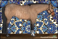 Horse Color:Bay Dun Rabicano  and Bay Dun Rabicano 