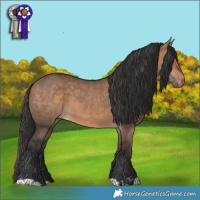 Horse Color:Bay Dun  and Bay Dun 