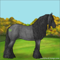 Horse Color:Blue Roan Frame 