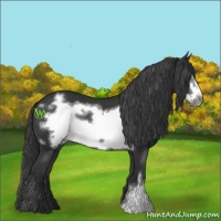 Horse Color:Black Frame 