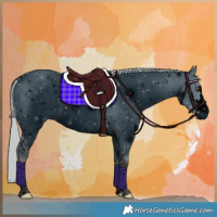 Horse Color:ERROR: UNKNOWN ANOMALY