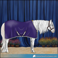 Horse Color:White Spotted Smoky Creme Dun Appaloosa 
