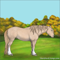 Horse Color:Perlino 