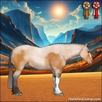 Horse Color:Buckskin Appaloosa 