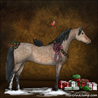 Horse Color:Brown Dun  and Brown Dun 
