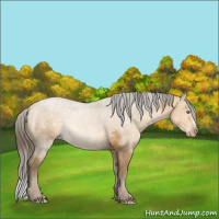 Horse Color:Sable Cream Champagne 