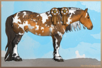 Horse Color:White Spotted Buckskin