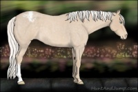 Horse Color:Silver Smoky Creme Roan Varnish 