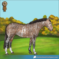 Horse Color:White Spotted Chocolate Brown Chinchilla Dun Splash and Bay Dun