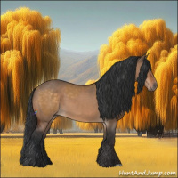 Horse Color:Buckskin Dun  and Brown Dun 