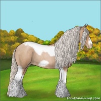 Horse Color:Silver Blue Roan Pearl Tobiano Frame 