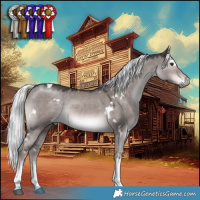 Horse Color:Platinum White Spotted Liver Red Dun Mushroom 
