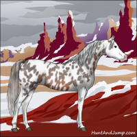 Horse Color:Brown Roan Appaloosa 