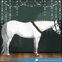 Horse Color:Gray Buckskin Near Leopard 