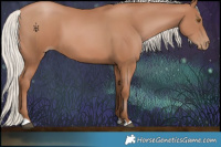 Horse Color:Silver Black Pearl 