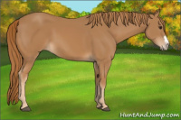 Horse Color:Chestnut Frame