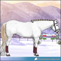 Horse Color:Buckskin Near Leopard 