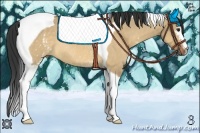 Horse Color:White Spotted Bay Dun Tobiano Rabicano